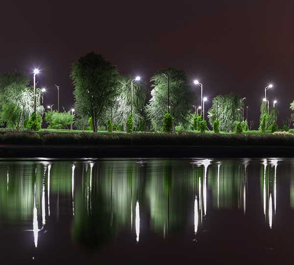 Exterior Site/Landscape image